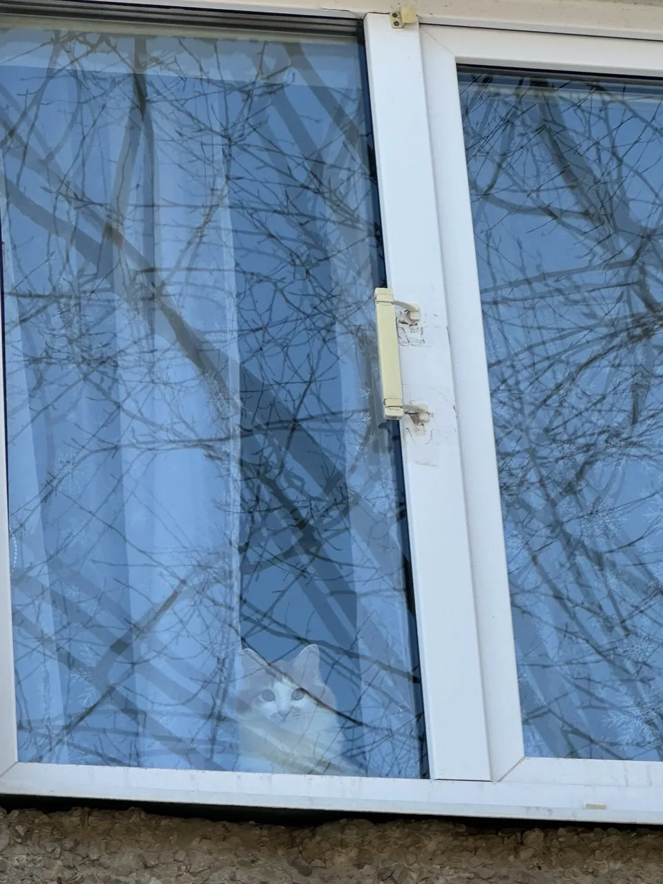 В выходные обещают дожди, но вдруг обойдется...

Всем хорошей погоды и хорошо отдохнуть!

Подписатьс