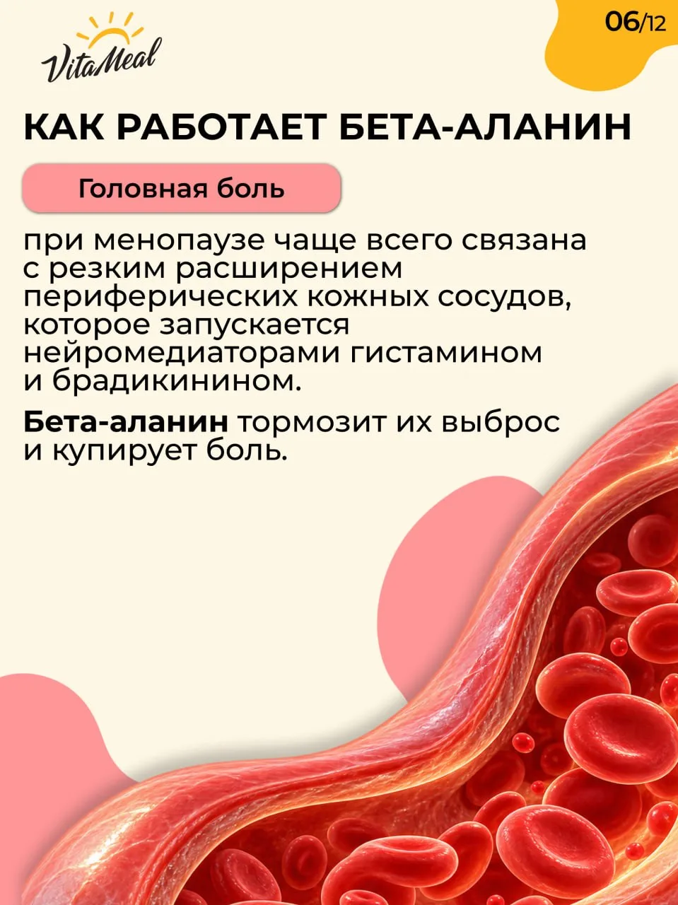 Изображение 6 к публикации «VitaMeal. Время для жизни☀️»