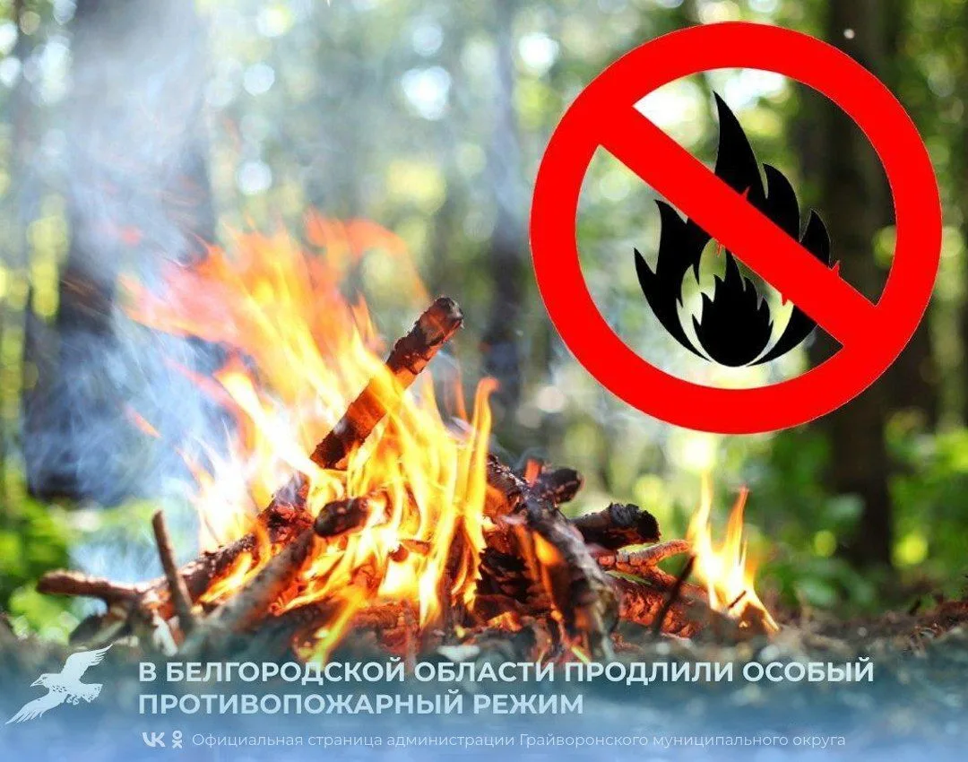 Противопожарный режим в Белгородской области продлили до 8 сентября🔥