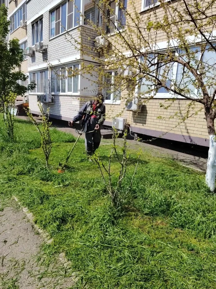 Отчет о проделанной работе