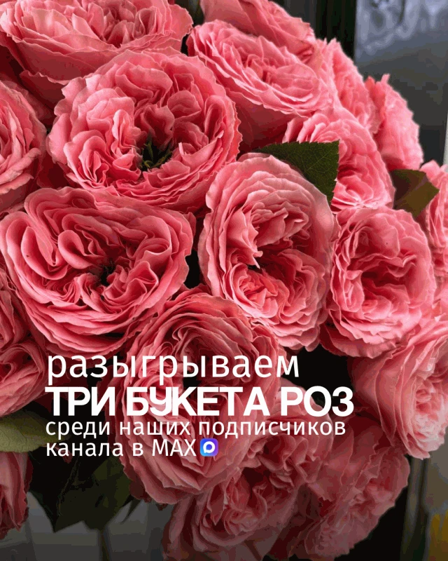 Мы снова подготовили для вас приятный сюрприз и запускаем новый розыгрыш в нашем канале...