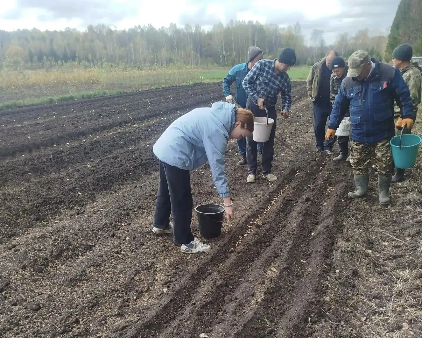 🌳 ЭКОЛОГИЧЕСКАЯ АКЦИЯ «ВОЗРОДИМ ДУБРАВЫ РОДНОГО КРАЯ»