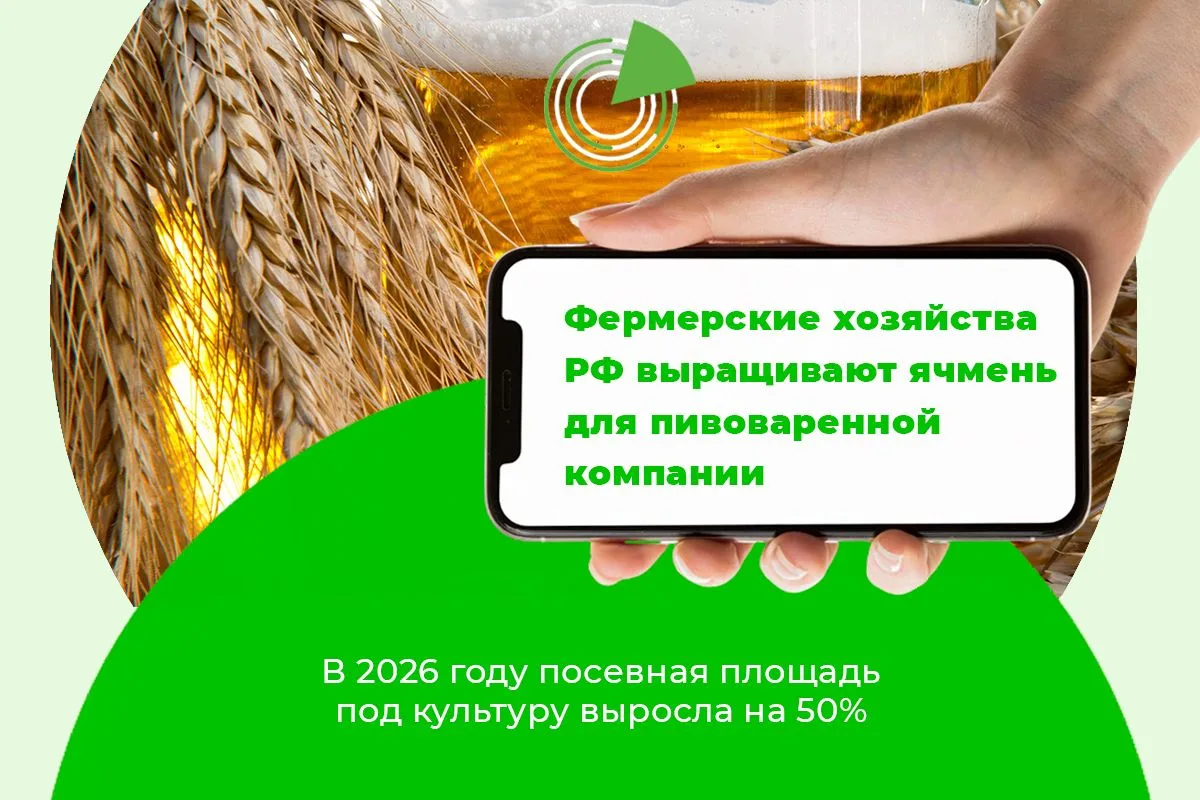 ФЕРМЕРСКИЕ ХОЗЯЙСТВА РФ ВЫРАЩИВАЮТ ЯЧМЕНЬ ДЛЯ ПИВОВАРЕННОЙ КОМПАНИИ
 
🍺 В 2026 году 69 фермерских х