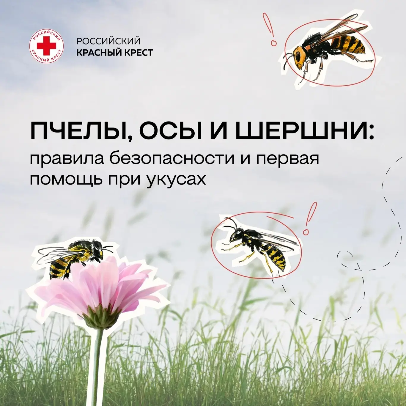🐝Лето — сезон пикников, дачных работ и отдыха на природе. Но вместе с теплом активизируются и жалящ