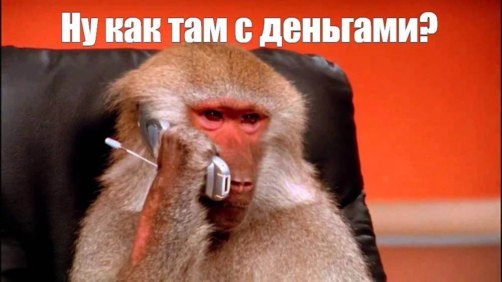 СМИ: «Авито» ввёл платный возврат для тех, кто регулярно не забирает заказы  В обновлении правил пло
