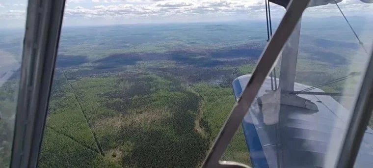 Пожар площадью в два футбольных поля ликвидировали под Ивделем. Пламя бушевало в лесах пять дней.  В