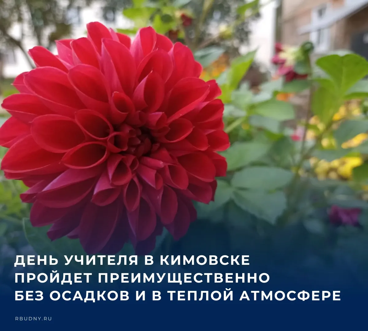 ☀️ Прогнозом погоды на сегодня, 5 октября, делится пресс-служба регионального Главного ...
