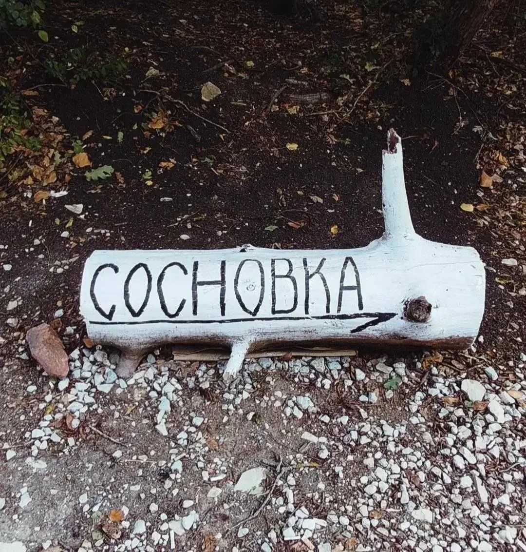 Осень в Сосновке 🍁