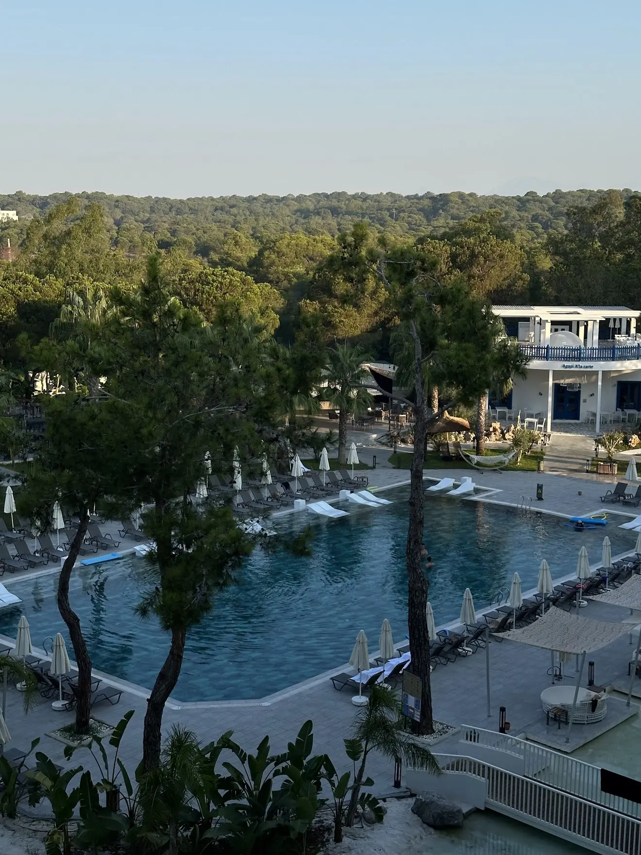 📍Berry Blue 5*