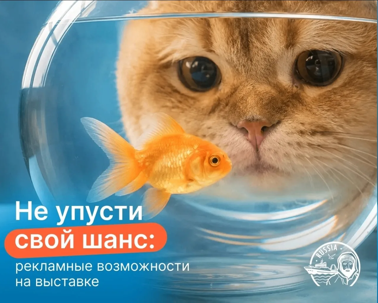 В море бизнеса внимание клиентов — такой же ценный ресурс, как улов в сетях у рыбаков в удачный день