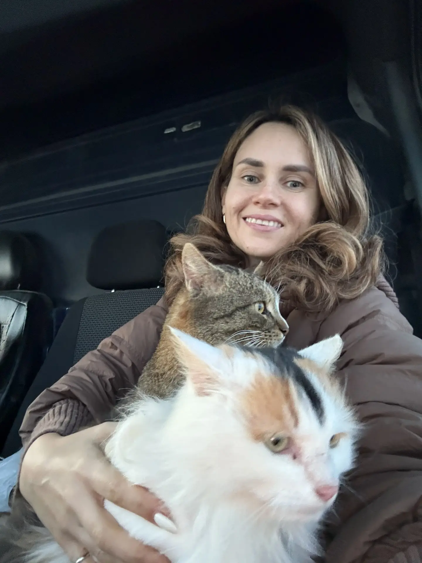 Все пушистики переезжают в новый дом 🐈