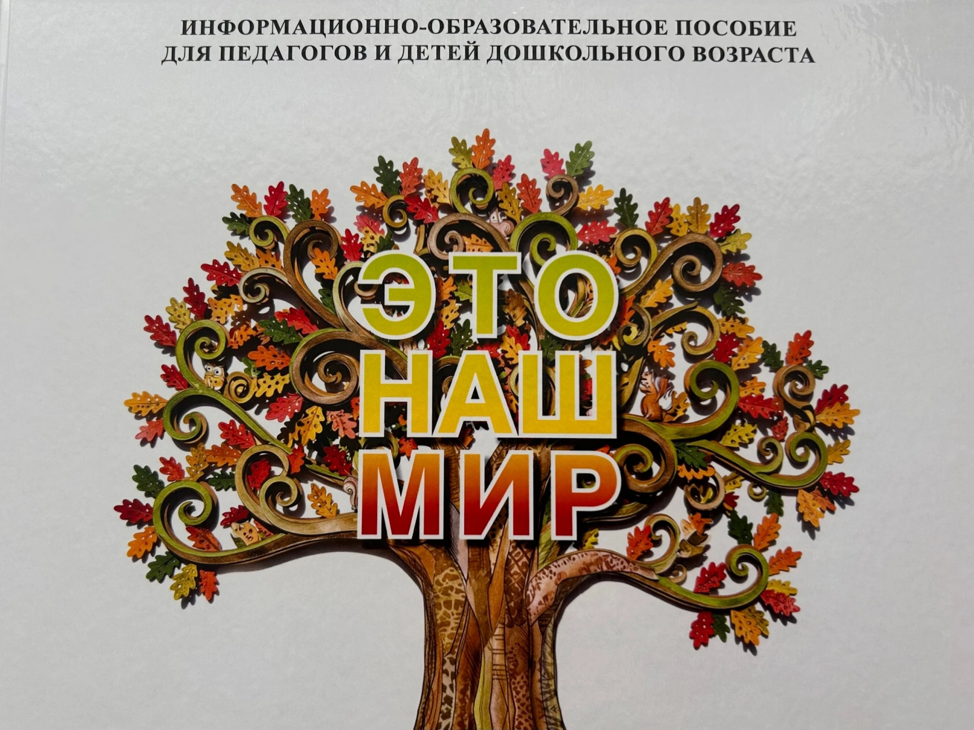 Вклад в будущее: как прошел Форум дошкольного образования в Великом Новгороде