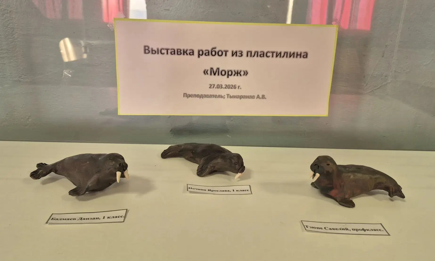 Морж… и северные птицы.
