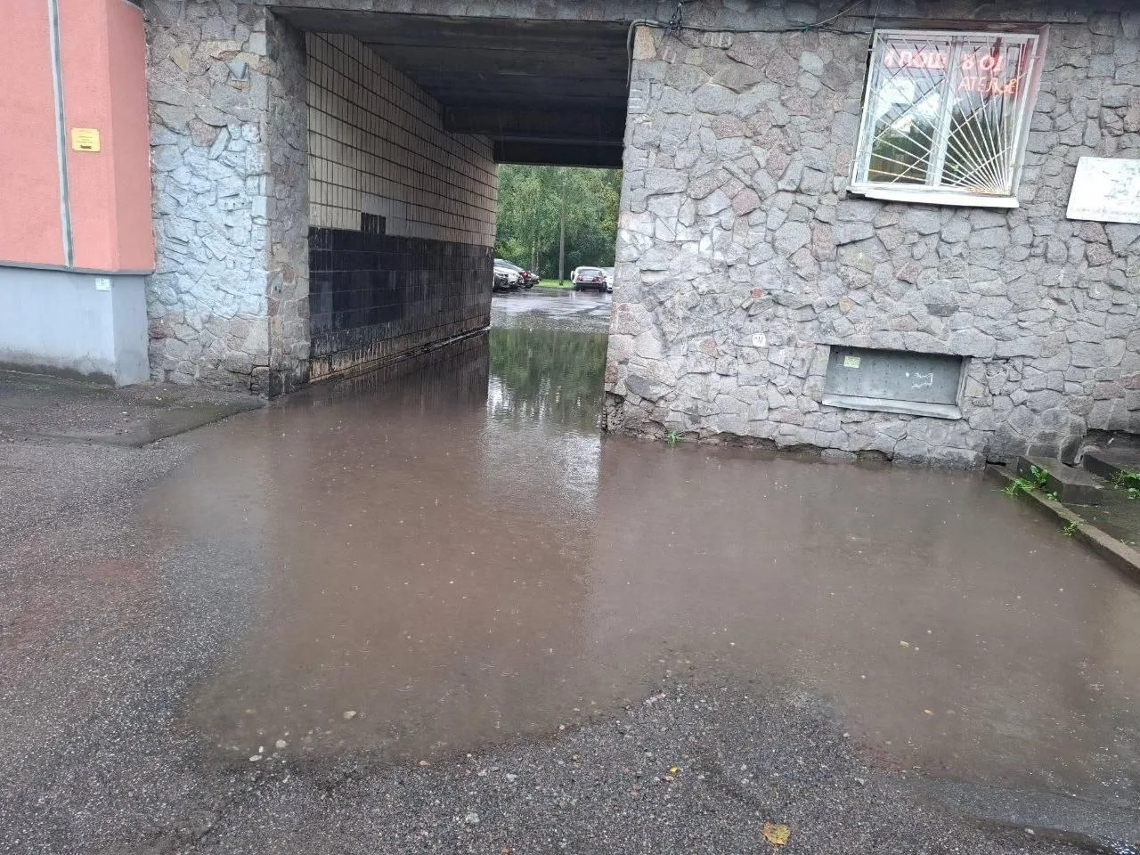 Замшина 33, можно только проплыть на чем-нибудь или в болотных сапогах🫣