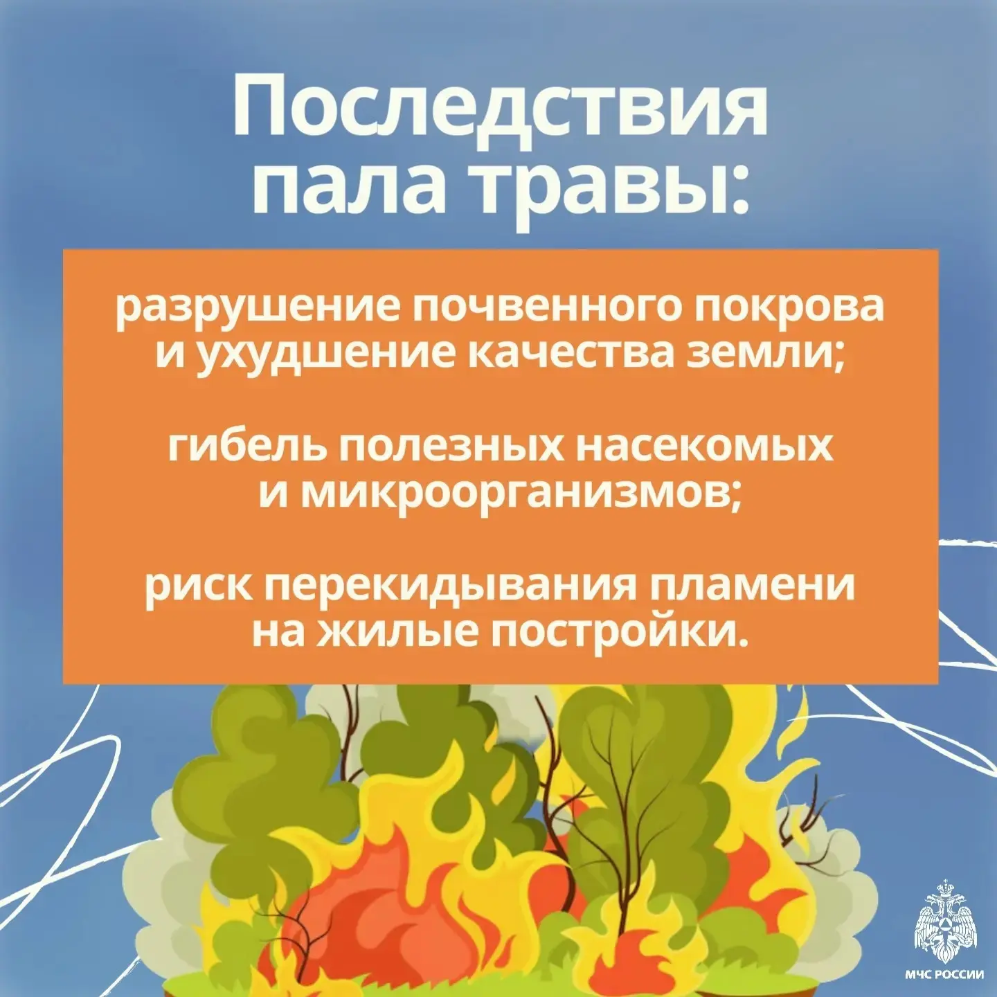 🌱 Пал травы:  ошибка, которая может дорого обойтись!  О том, что делать с сухой травой, какие бывают