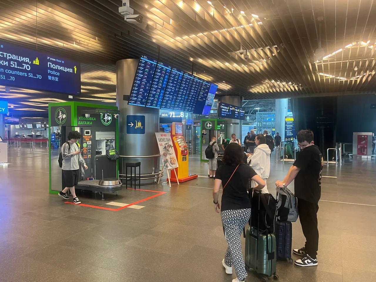 В Международном аэропорту Внуково действовали частичные ограничения. Авиагавань принимала и выпускал