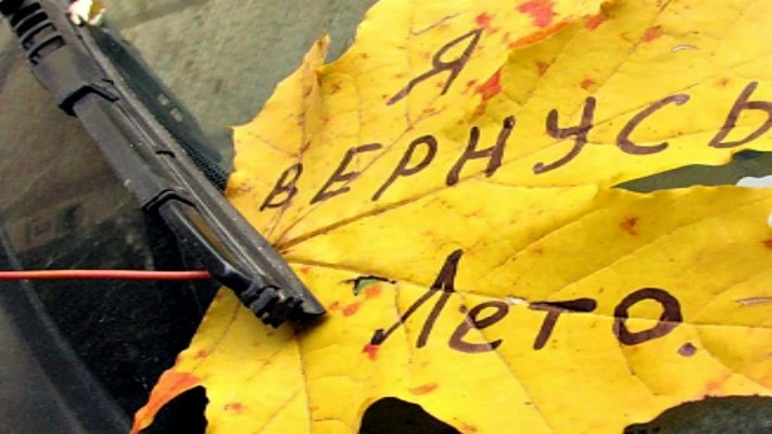 Обмануло лето.