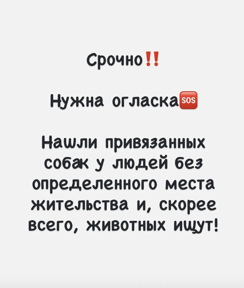 🚨 СРОЧНО‼️ Нужна огласка🚨НАЙДЕНЫ ЖИВОТНЫЕ И ИХ МОГУТ ИСКАТЬ‼️
