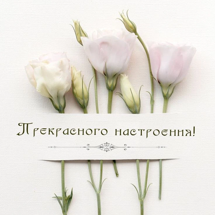 "Все самое интересное в одном месте! Подборка каналов на любой вкус."