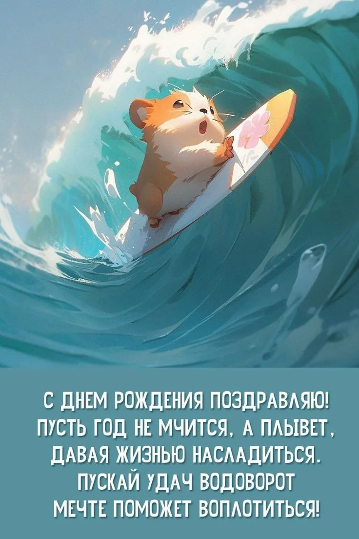 https://max.ru/invista123456