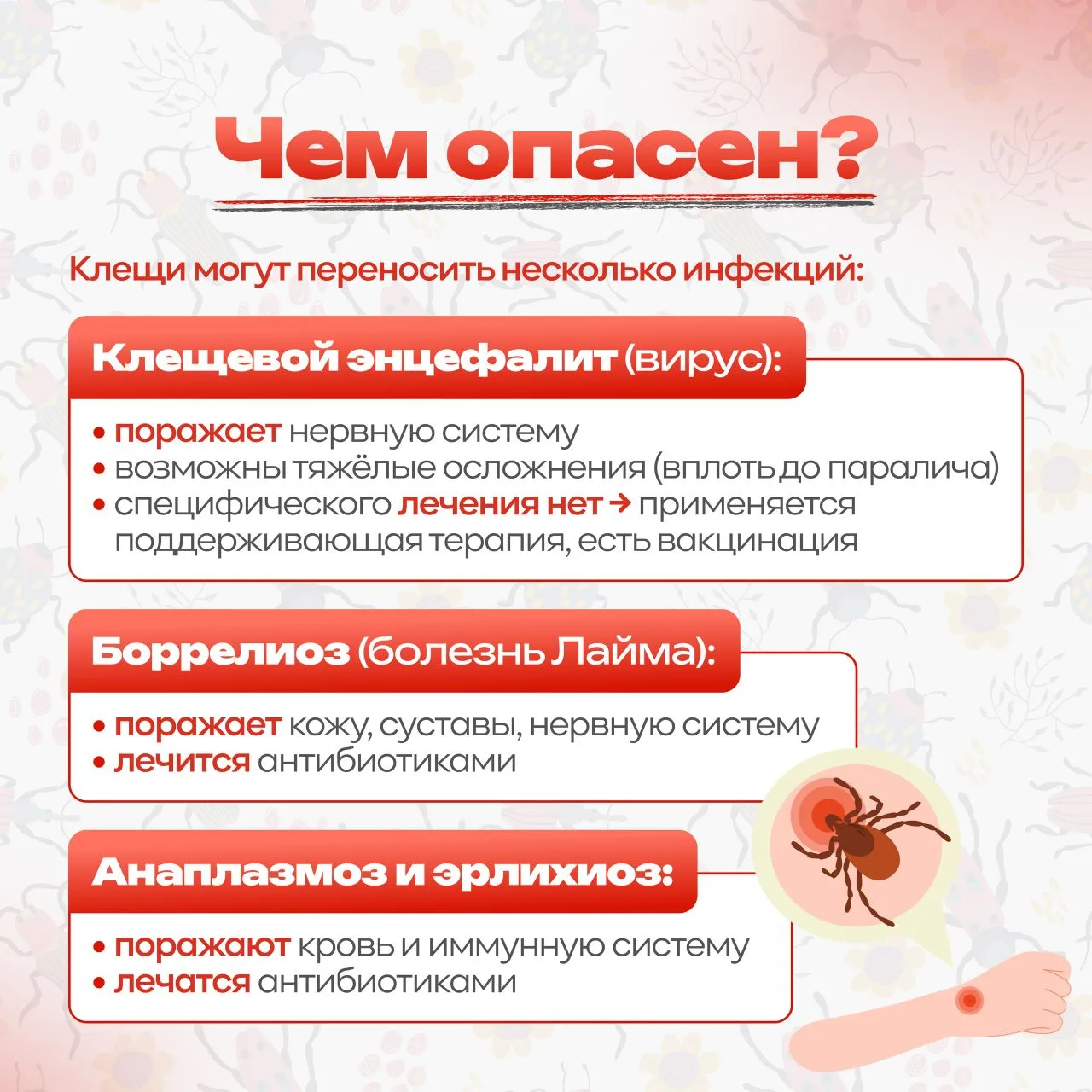 🕷️ Весна — время прогулок, солнца и… незваных гостей в траве. Клещи уже проснулись и поджидают момен