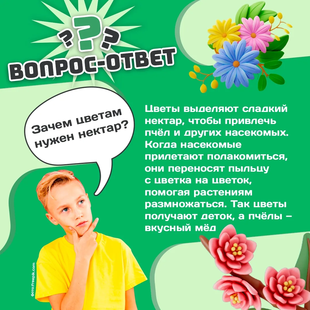 Продолжаем погружение в мир любопытства вместе с рубрикой «Вопрос-ответ» 🌼