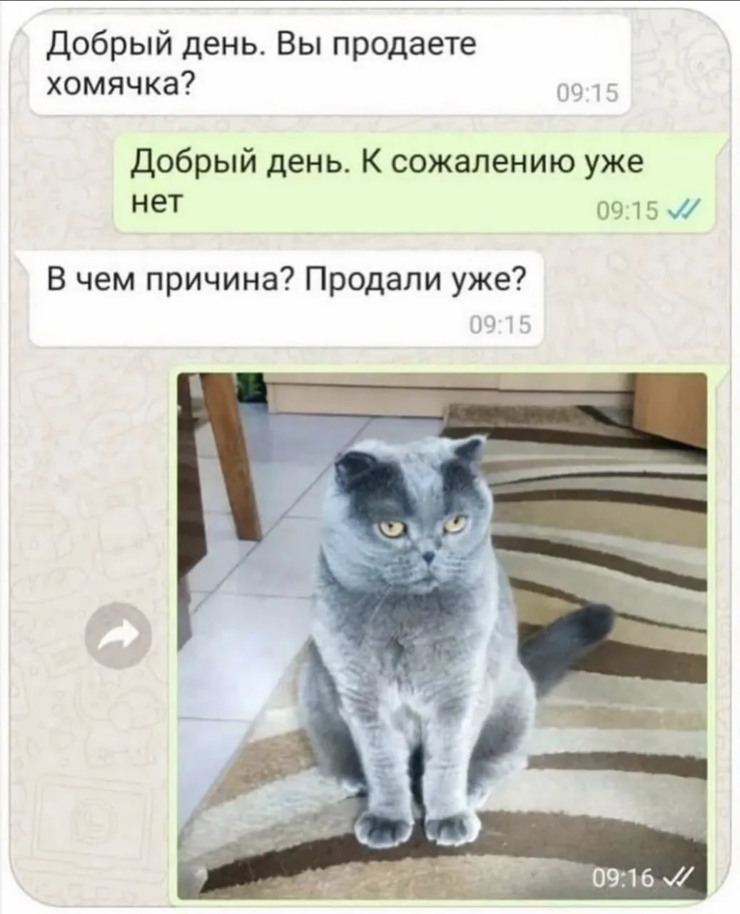 Самый короткий и грустный рассказ Эрнеста Хемингуэя 😅

Коська