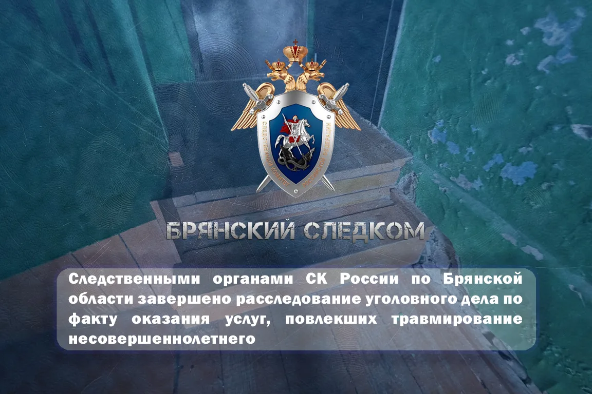 ‼️ Следственными органами СК России по Брянской области завершено расследование уголовн...