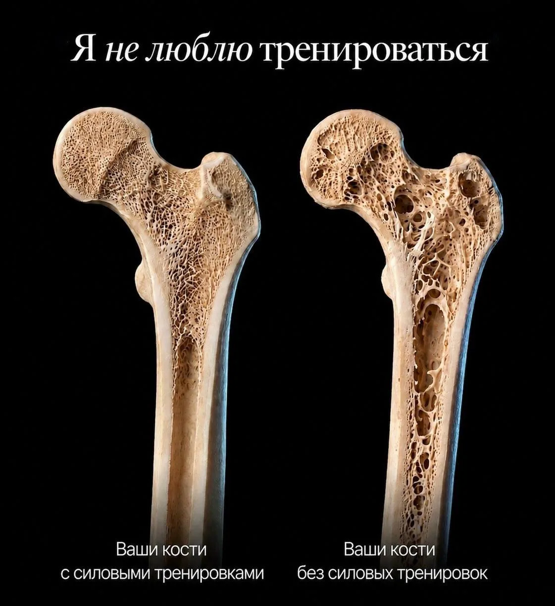💪🏼 Силовые тренировки укрепляют не только мышцы, но и КОСТИ