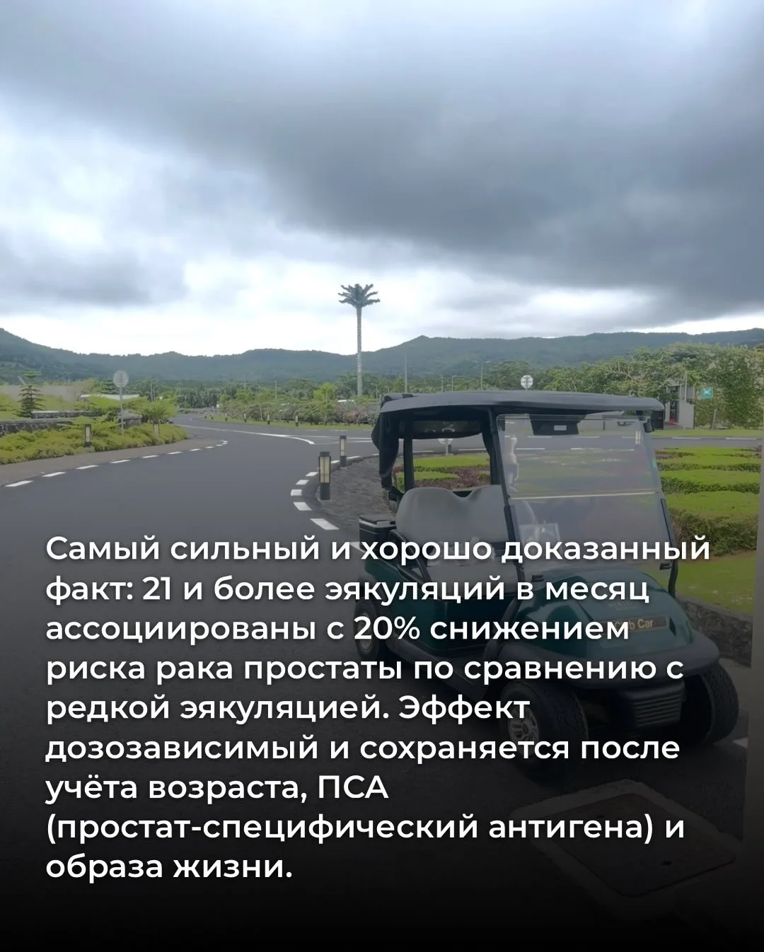 Я @doctor_sadovskaya врач с практикой от Катманду до Хайфы, дважды мать с помощью суррогатного матер