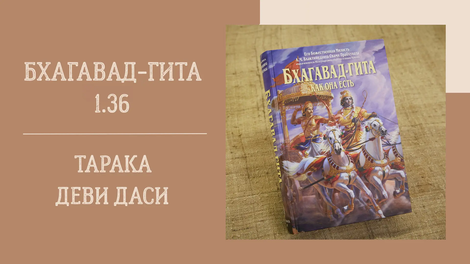 📖 Вечерняя лекция