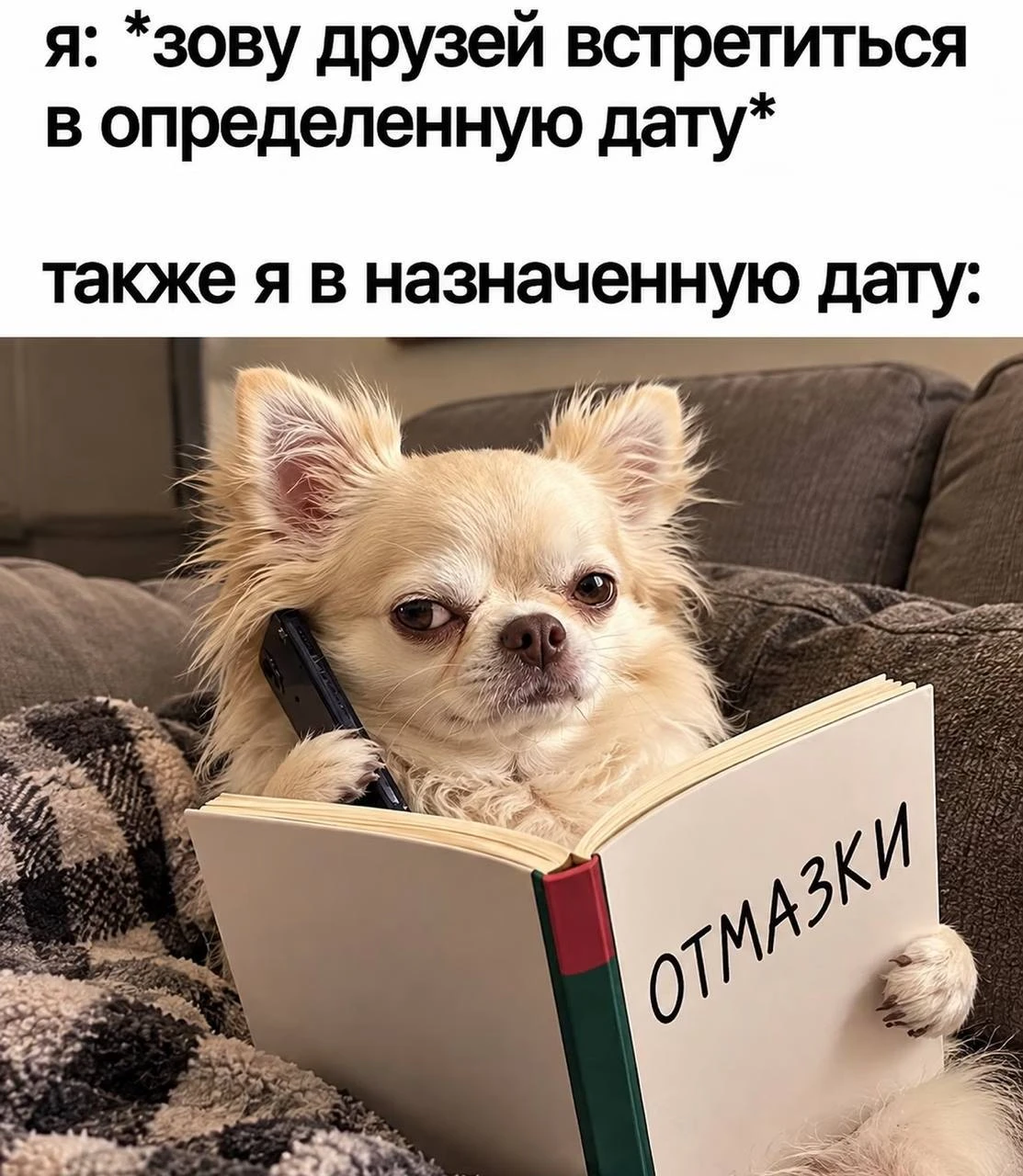 Мем дня