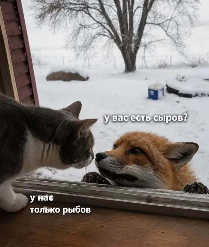 Дайте рыбов!