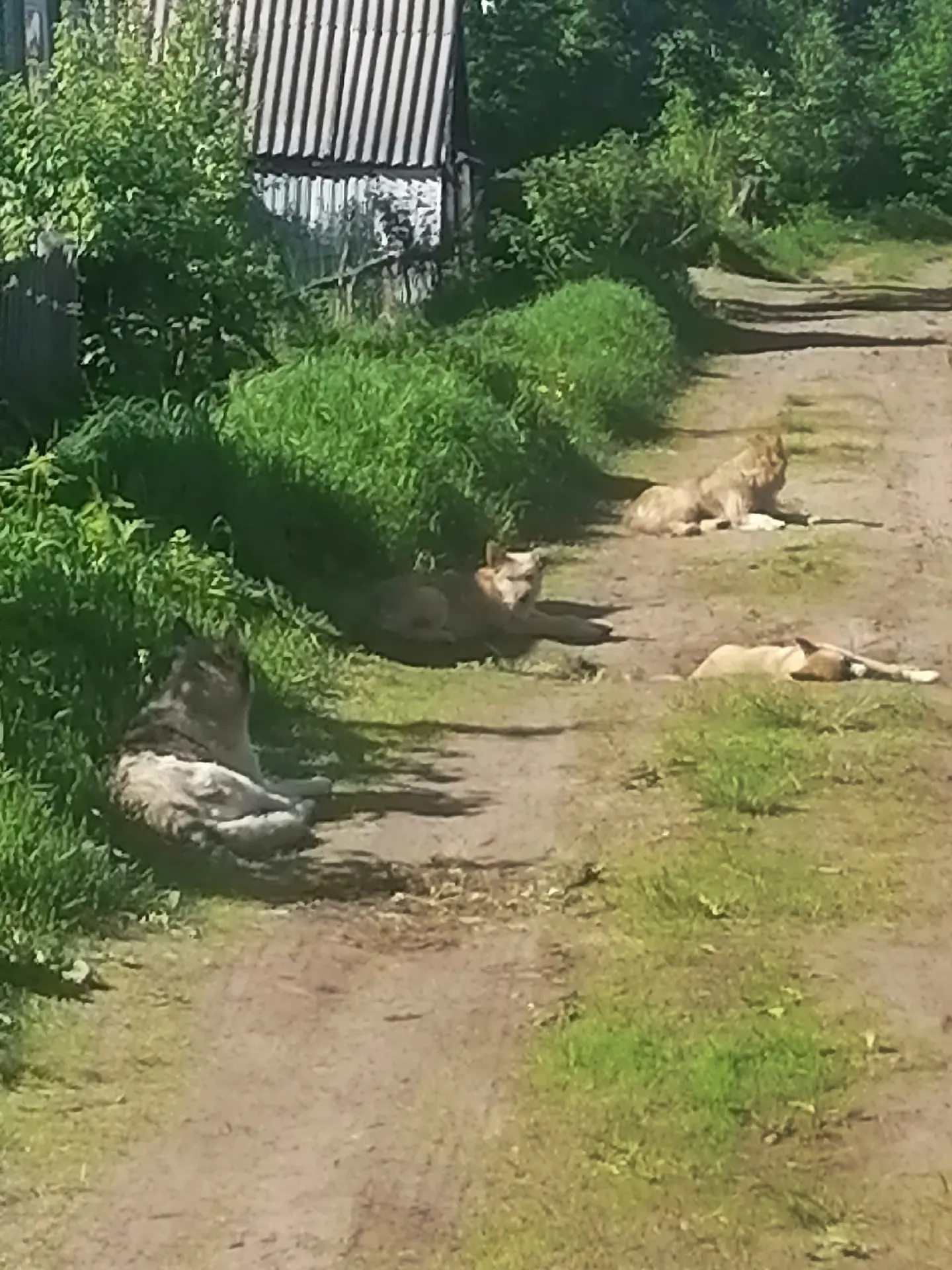 От подписчика