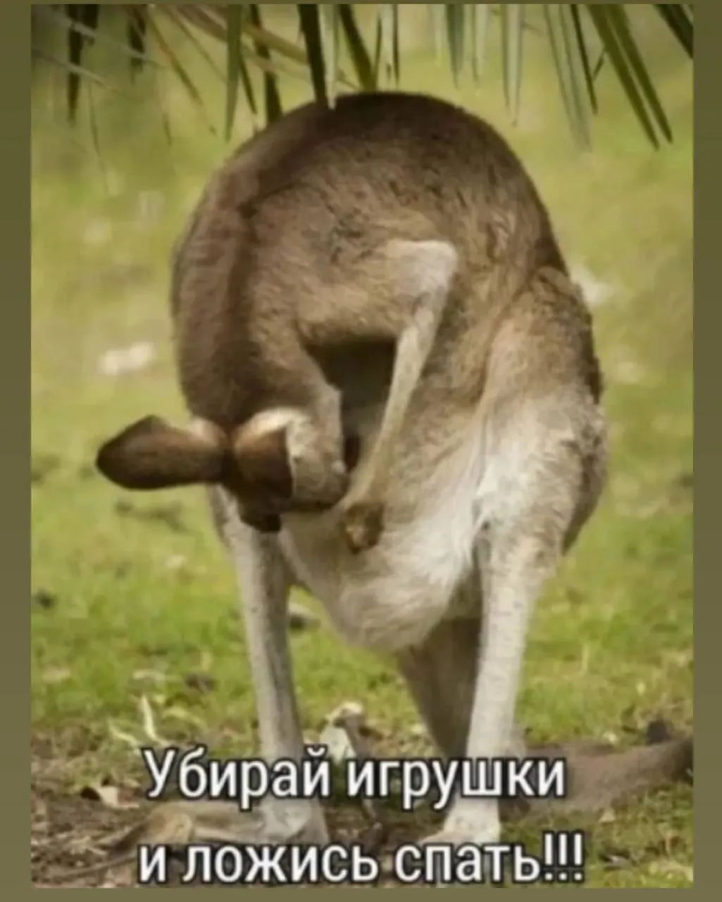 Три Подружки