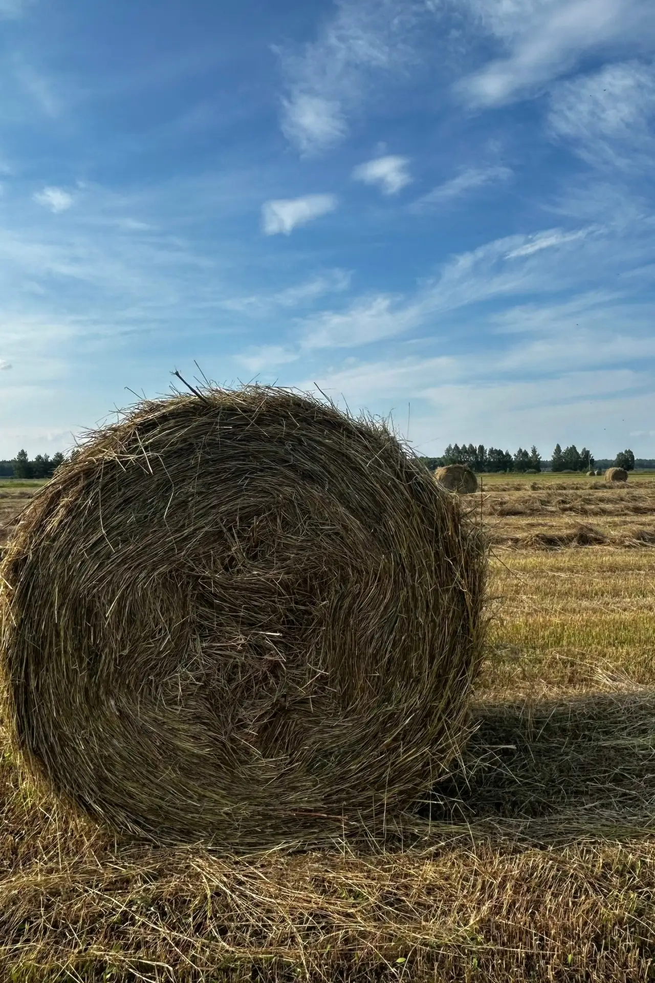 Красота рязанской природы♥.

📸 Наше Орехово

📍 Рязань
👉 Подписаться
🔥 Рязань ЧП