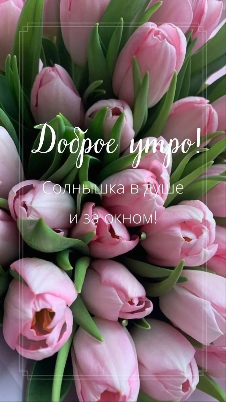 #доброеутро