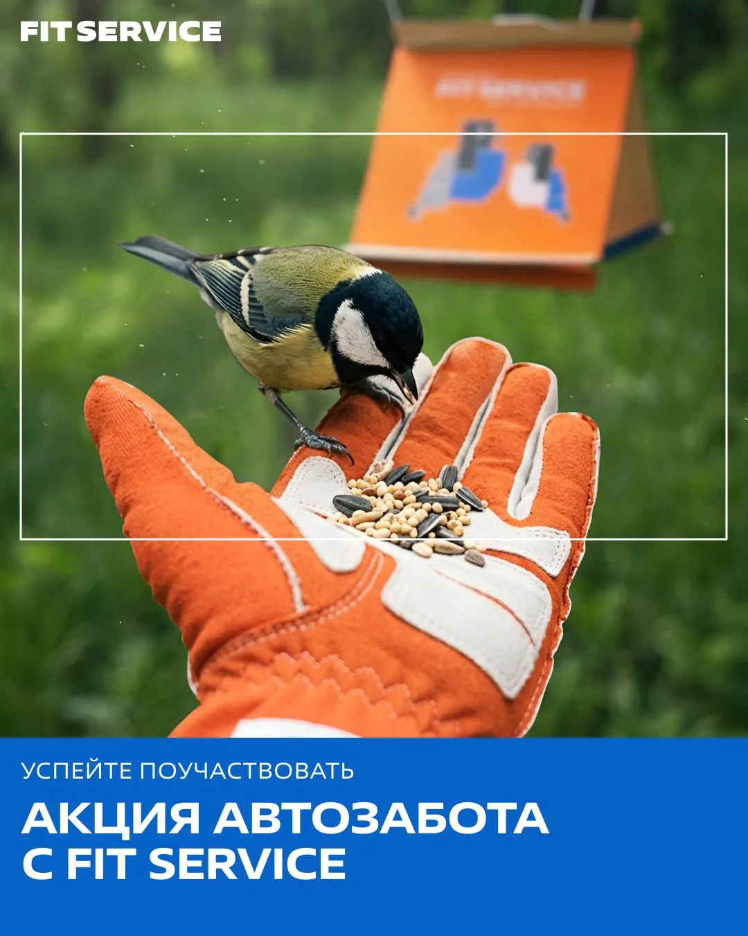 📸 Уже участвовали в нашей фотоохоте?

Если нет, самое время присоединиться! Найдите фирменную корму