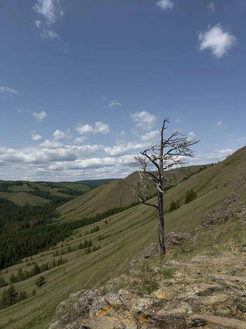 Красота Южного Урала 😍

🗺 Хребет Нурали 

Автор: Анастасия Бушкова