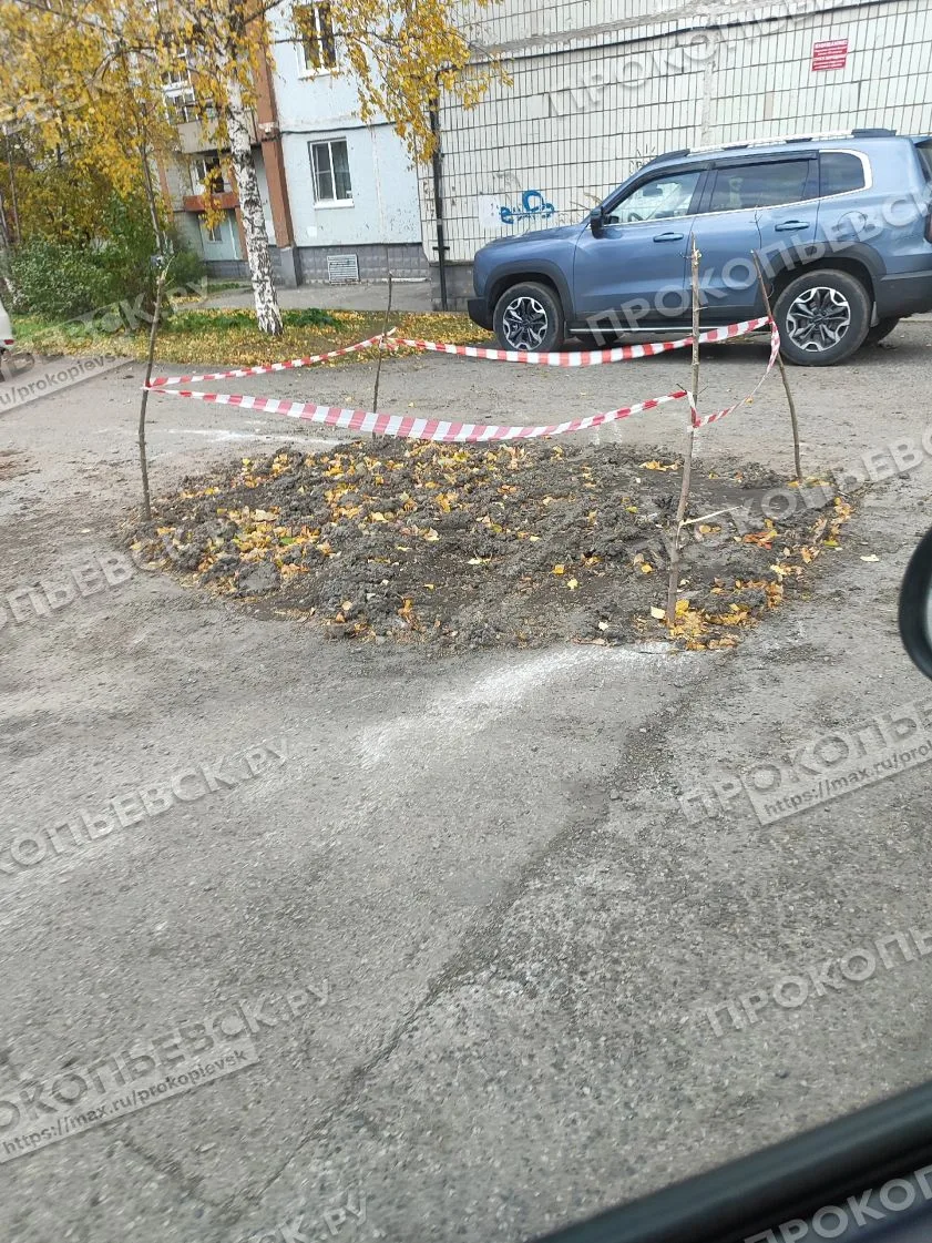 От подписчиков.