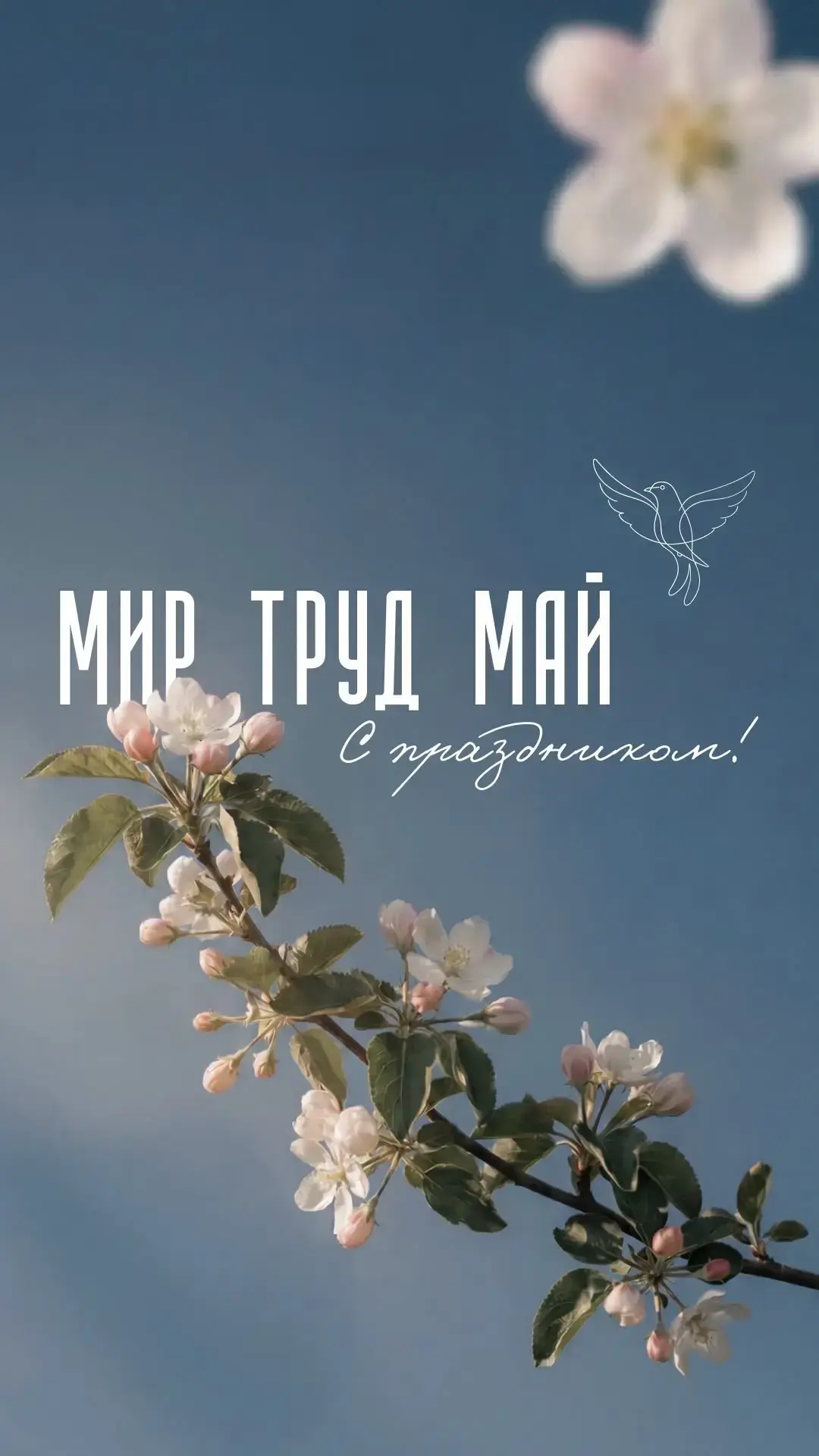 🎈 С Первомаем! Мир. Труд. Май! 🎈