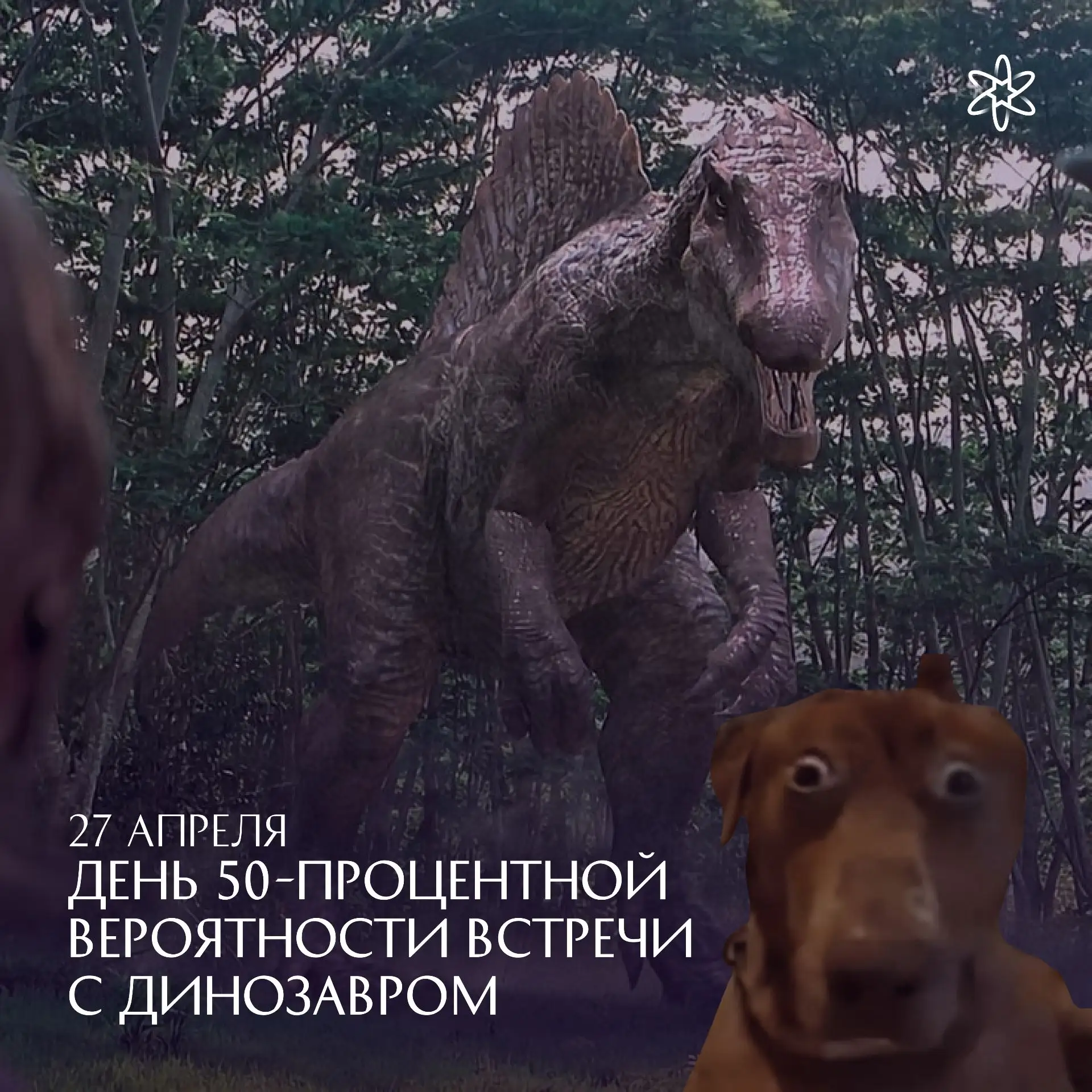 ШАНС 50/50: ЛИБО ВСТРЕТИШЬ, ЛИБО НЕТ