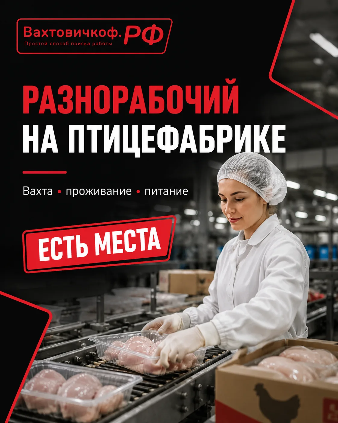ВАХТА НА ПТИЦЕФАБРИКЕ— РАЗНОРАБОЧИЕ