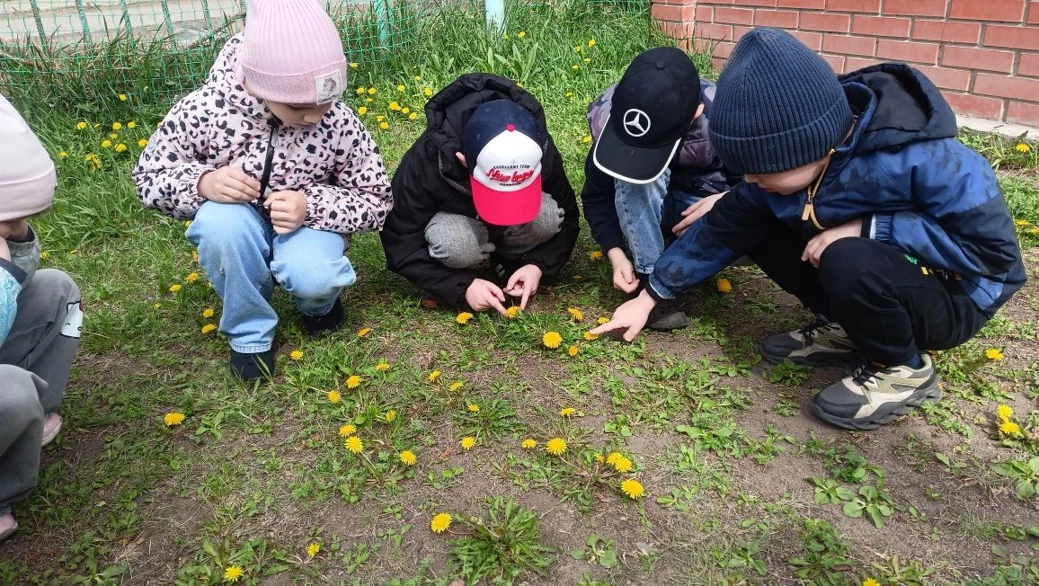 Веселая прогулка по золотому ковру одуванчиков🏵