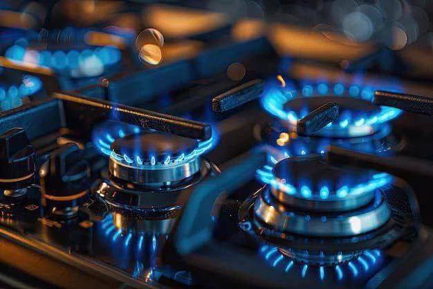🎛️Напоминаем о правилах предосторожности при использовании газа в быту: