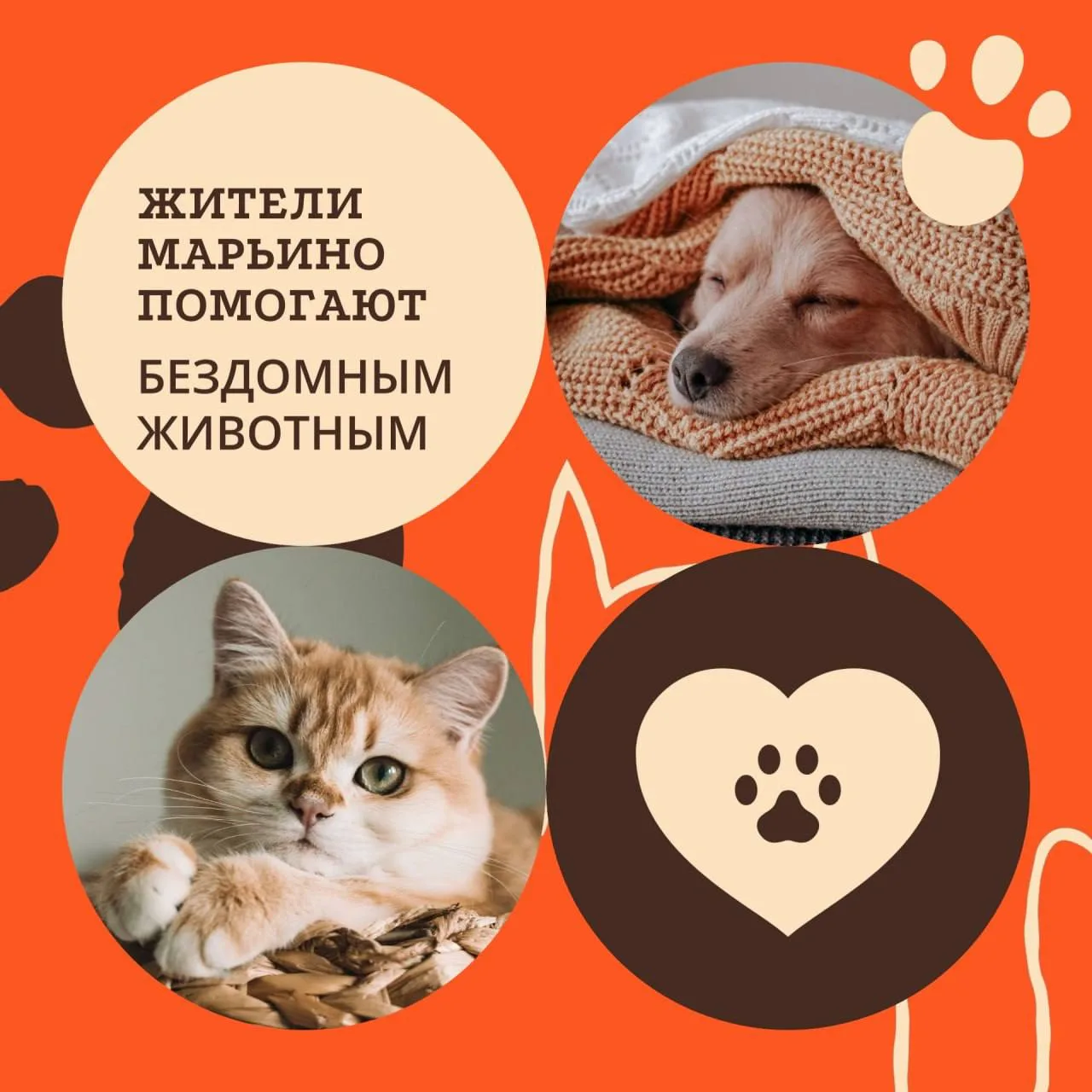 🐶 В Марьино в детской библиотеке №133 оказывают помощь приютам

На Братиславской, 19к1, принимают к