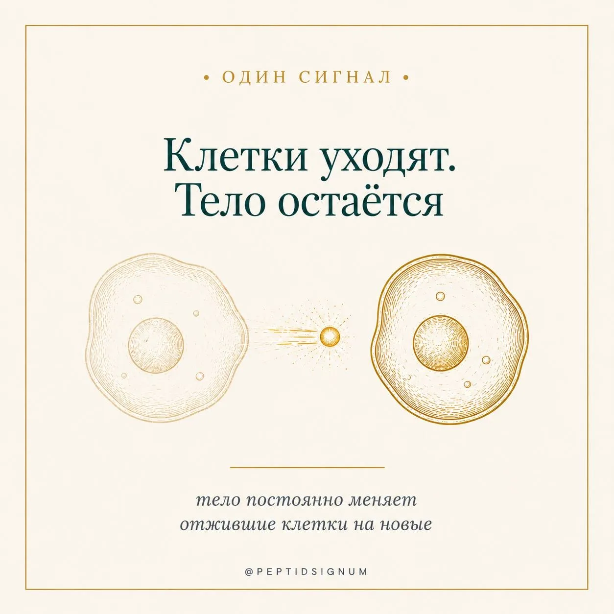🧬 Один сигнал