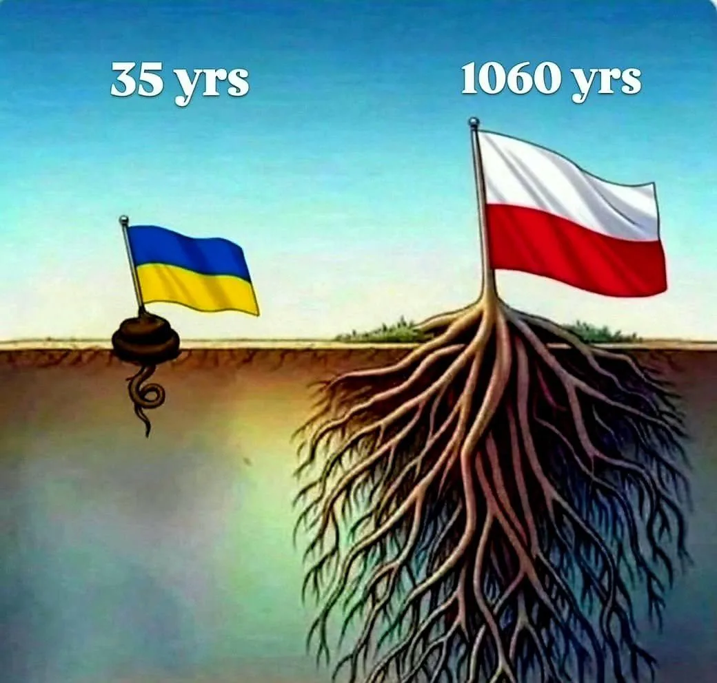 🇵🇱 Поляки шутят 😅