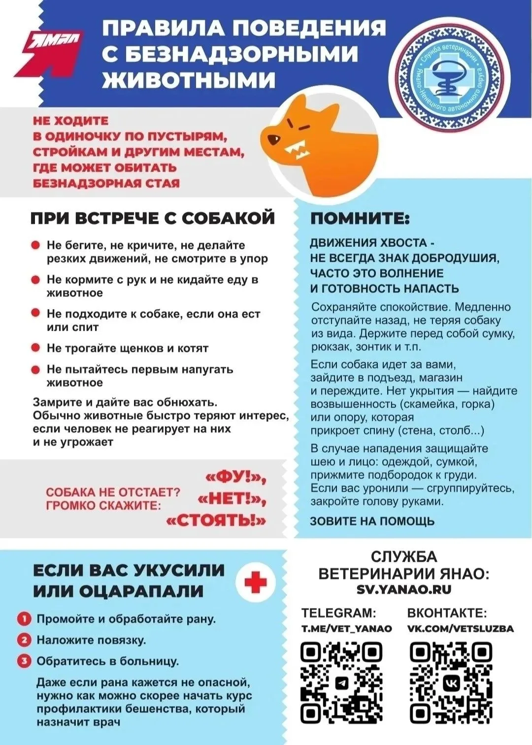‼️Правила поведения с безнадзорными животными 

📌Встреча с безнадзорной собакой может быть неожидан