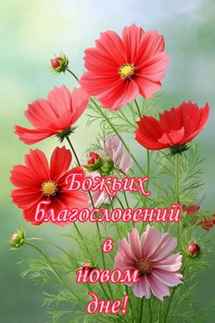 ❤️🌸🌿❤️🌸🌿❤️🌸🌿 

С добрым утром, дорогие! 
Желаю вам быть самыми счастливыми, верить в лучшее, н
